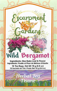 Wild Bergamot Herbal Tea