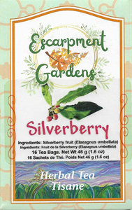Silverberry Herbal Tea