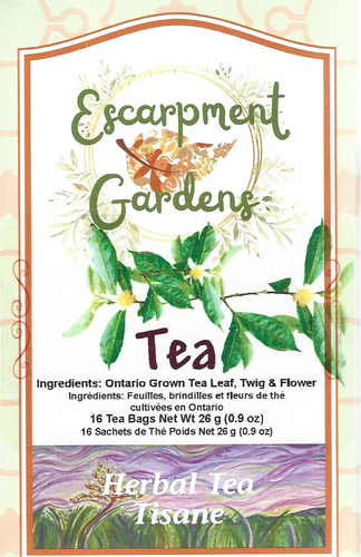 Tea Leaves, Twig & Flower