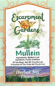 Mullein Herbal Tea