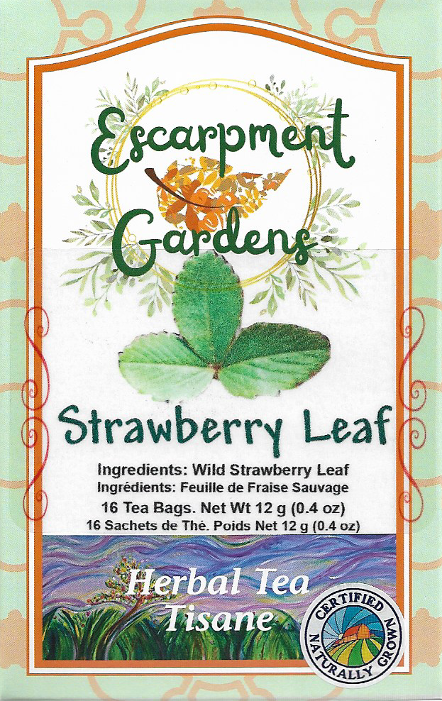 Strawberry Leaf Herbal Tea