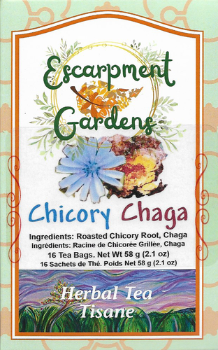 Chicory Chaga Herbal Tea